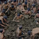 Poos playing in poo 3