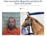 2025-08-20 20_18_41-Man Arrested In Alleged Sexual Abuse Of Horse In Evanston _ Cowboy State Daily -