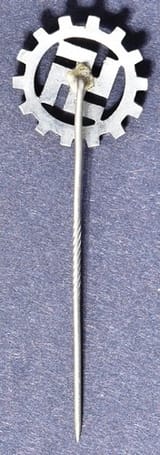 swazicog_pin_DAF