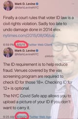 Mark Levine - voter ID law