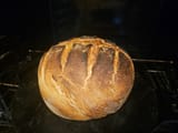 bread3