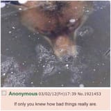 1686875891496569
