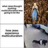 jews