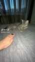 Download (11)_thumb.jpg