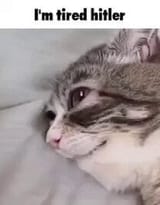 1732299817481531