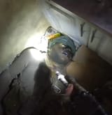subhuman