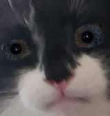 1573872769368
