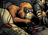 techno monkey 