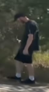 turtle person