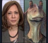 jar jar harris