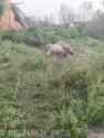 ziggers_0010788_thumb.jpg