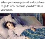 alarm die in sleep
