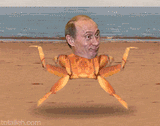 g-8bb