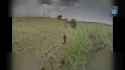 2025-08-20__madyar__p4_thumb.jpg