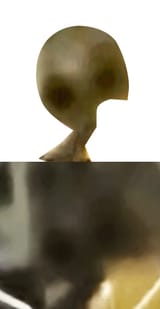1686300133082845