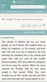 nabi-ke-nuske-camel-piss-medicine-in-islam-ref-sahih-al-v0-0fysigalvyna1