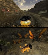cazador&#039;d