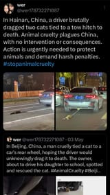 Thread 513624728 OP Image