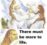 1753938799134026