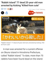 rabbit island