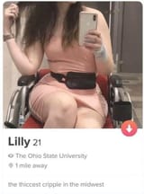 80586932