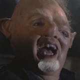 hey_you_guyyys