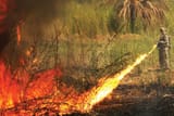 sergeant-US-Army-flame-thrower-enemy-concealment-2008
