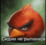 сидим-не-рыпаемся-копим-элик