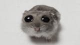 Thread 513643278 OP Image