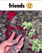 1702280723148092