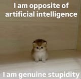 1747731158987367
