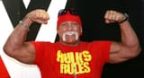 Hulk&#039;s Rules