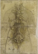 organs_of_a_woman_c.1509-10