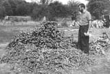 Dr Leon Popek in Wola Ostrowiecka while carrying out the exhumation, 1992 (Source; Dr Leon Popek’s archive)