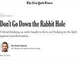 Don&#039;t think, that&#039;s disinfo