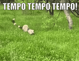 1723662954471627