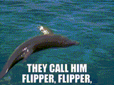flipper flipper...flipper