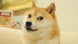 Thread 513735455 OP Image