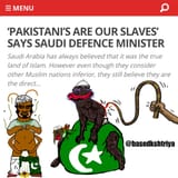 pakistani the bitches and slaves of saudi arabia