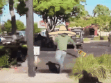 ezgif.com-animated-gif-maker (3)