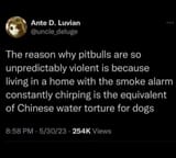 Doggo torture