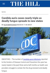 more fungus
