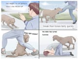 how to attack dogs
