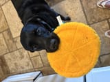 IMG_20250813_094644