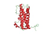 PRL_structure
