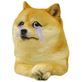 1il0ejvlff231