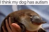 1676057067723131