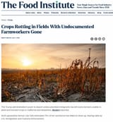 2025-08-25 15_19_13-Crops Rotting in Fields With Undocumented Farmworkers Gone - The Food Institute 