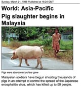 nipah-news-1999