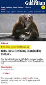 monke attack